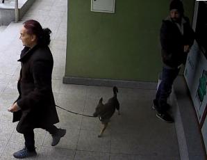 Kradzież z bankomatu metodą Na Pieska