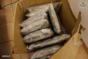 [VIDEO] Policjanci przejęli ponad ćwierć tony narkotyków wartych kilkanaście milionów złotych