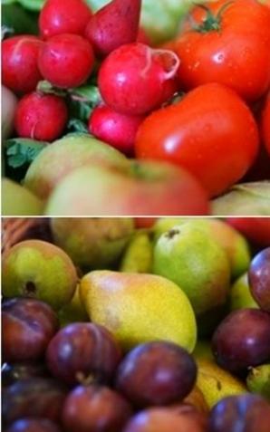 Nowy Program dla szkół- promocja zdrowego żywienia 