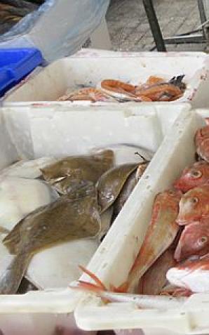 NIK o funkcjonowaniu centrów pierwszej sprzedaży ryb