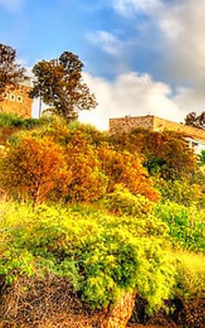 Izrael: Fantasyczne miejsce na wypoczynek. Ciepło już w marcu!