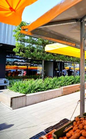 Warszawa: Zieleniak działa już od roku