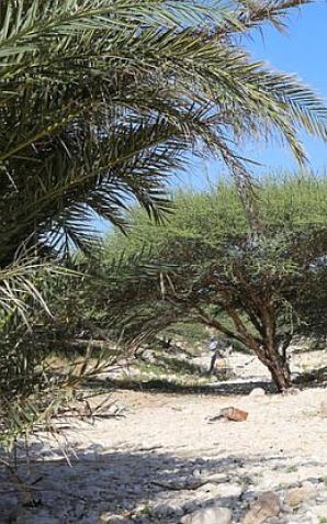 Etiopia: Polski MSZ ostrzega podróżujących w rejon Wschodniej Afryki