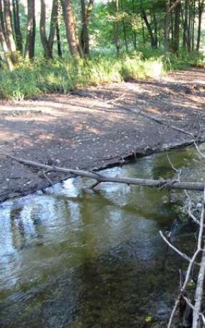 Bystrzyca Kłodzka: remonty koryt rzecznych zamiast nowych zbiorników