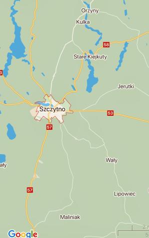 Wywieźli 15-latkę do lasu. Grozili jej, upokarzali I wszystko nagrywali telefonem