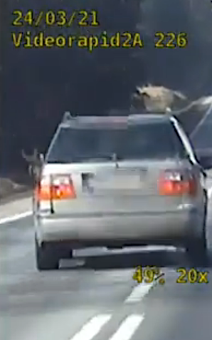 [VIDEO] 72-latek z Podlasia szalał na krajowej Ósemce!