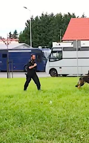 [VIDEO] Z dnia przewodnika psa policyjnego