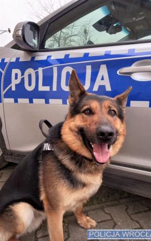 Przyszedł po meble, ukradł samochód. Znalazł go pies OPI