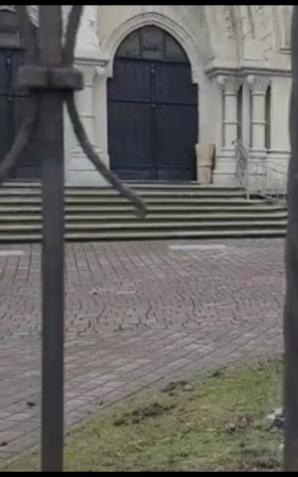 [VIDEO] Policja wzięła w końcu byka za rogi