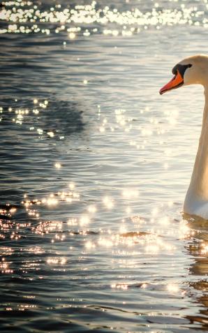 Mama na rauszu, dwie córki i woda. Bardzo niebezpieczna kombinacja