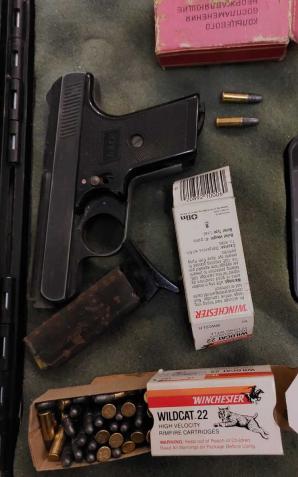 Obawiał się o życie swoich zwierząt, więc zastrzelił sąsiadce kota