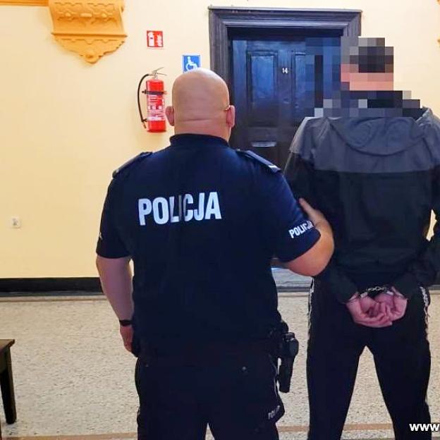 [VIDEO] 30 kilogramów narkotyków chowali w kartonach i walizkach podróżnych