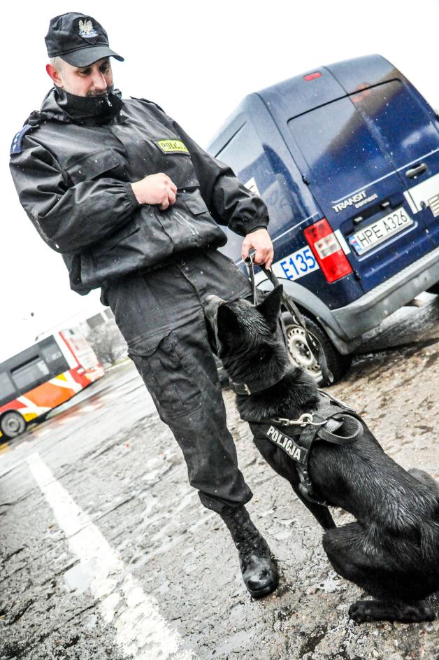 Django i Lila - policyjne psy szkoliły się w służbie